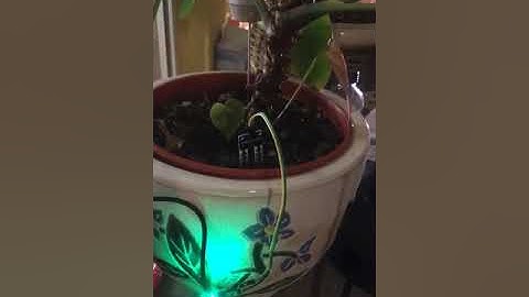 Arduino toprak nem sensörü