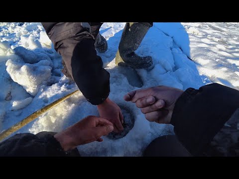 ЛЕСКА ЗАТРЕЩАЛА.....АДРЕНАЛИН В КРОВЬ!!Первый лед 2023 в черте Барнаула. Рыбалка на Алтае