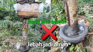 cara membuat tiang penyangga lebah madu anti semut ‼️di jamin lebah anti kabur