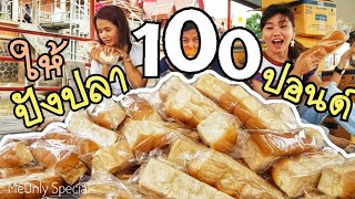 อลังการงานช้าง เลี้ยงปังปลา 100 ปอนด์ เผยโฉมพี่ติ๊ก MeOnly Toy | MeOnly Special