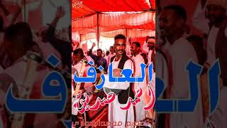 Download Lagu جديد ود حسين وتر2019 MP3 جديد ود حسين وتر2019