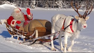 Les animaux du Père Noël en Laponie   meilleures histoires rennes & chiens du Papa Noël message