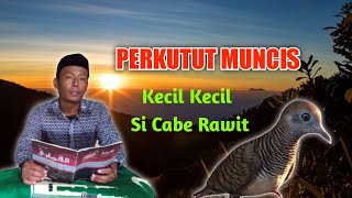 Katuranggan Perkutut Muncis