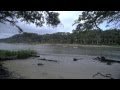 The Wonders Of Estuaries: Nature's Vital Ecosystems