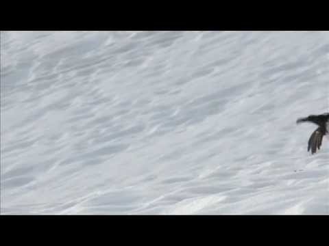 Mille et une traces (Mille e una traccia) filmtools