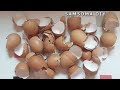 لا ترمي قشور البيض بعد اليوم/ you will never throw away eggshells after watching this video