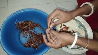 চড শটক কট Dipa Moni Vlogs