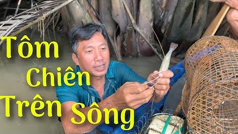 Đặc Lờ Tôm Càng Xanh Về Chiên Giòn Trên Sông Nước Miền Tây | Cù Lao Dung Vlogs #85
