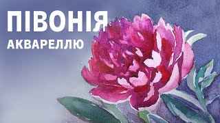 картинка: Малюємо півонію аквареллю. Фінальну картинку можна скачати в телеграм каналі.