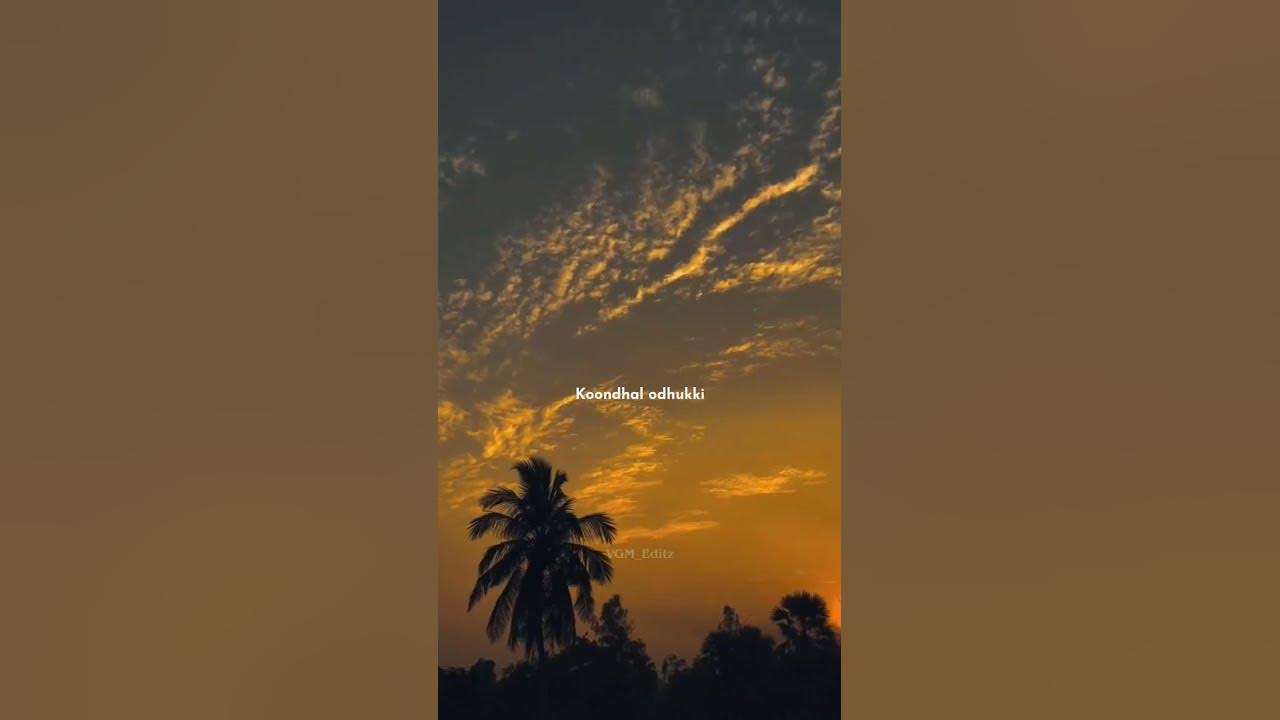 Konja neram odhukki koondhal odhukki|#trendingshorts #whatsappstatusvideo #tamilsong Konja neram odhukki koondhal odhukki|#trendingshorts #whatsappstatusvideo #tamilsong