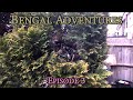 Bengal adventures  episode 3