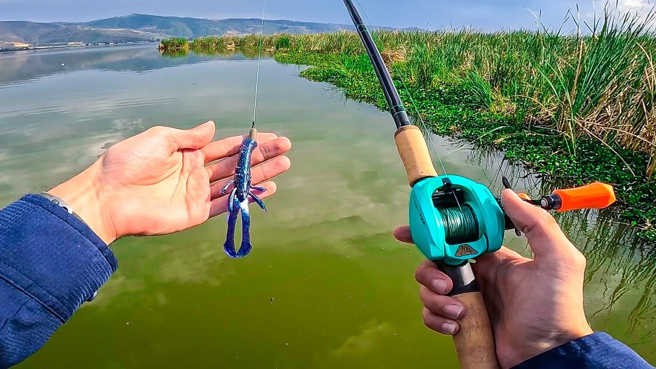 Flippeando este cangrejo por LOBINAS GRANDES! // Flipping entre Vegetación – Tips de pesca