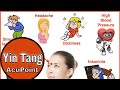 Yin tang acupuncture point functions  location