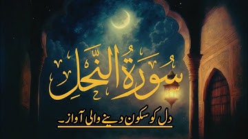 best Reaction of Surah An-nahl | سورة النحل | by omar hisham al arabi