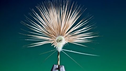 Fly Tying a PMD Comparadun dry fly with Barry Ord Clarke