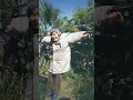 西本喜美子：ぶーらぶら〜