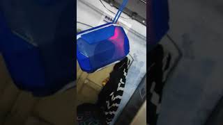 Flop Songsandhi Sidhu Moose Wala Punjabi Boos 2021