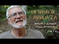 The Nature of Ayahuasca - Howard Lawler Full Interview - Part 2