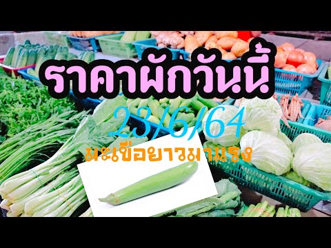 ราคาผักวันนี้,23/6/64 ราคาขายส่งผักวันนี้,ราคาผักจากตลาดกลางสินค้าเกษตร