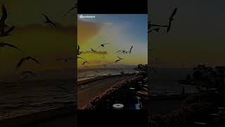 Afreen Afreen ❤️ | Rahat Fateh Ali Khan & Momina Mustehsan | Beauty Feels Like Poetry #Shorts