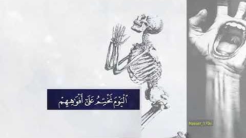 قران كريم بصوت معبر 😢 حالات واتس اب دينية .. مقاطع انستقرام اسلامية