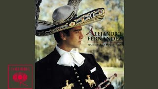 Alejandro Fernández - Como Quien Pierde una Estrella (Cover Audio)