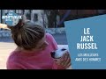 Un Jack Russel, fan de pelote basque - Les Animaux de la 8