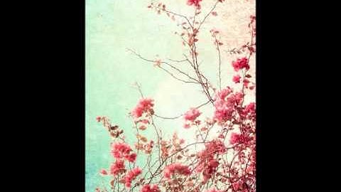 صلاه التراويح من سوره يوسف لقارئ عماد الرويشد