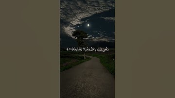 #قران_كريم  #ياسر_الدوسري  #سورة_الزمر