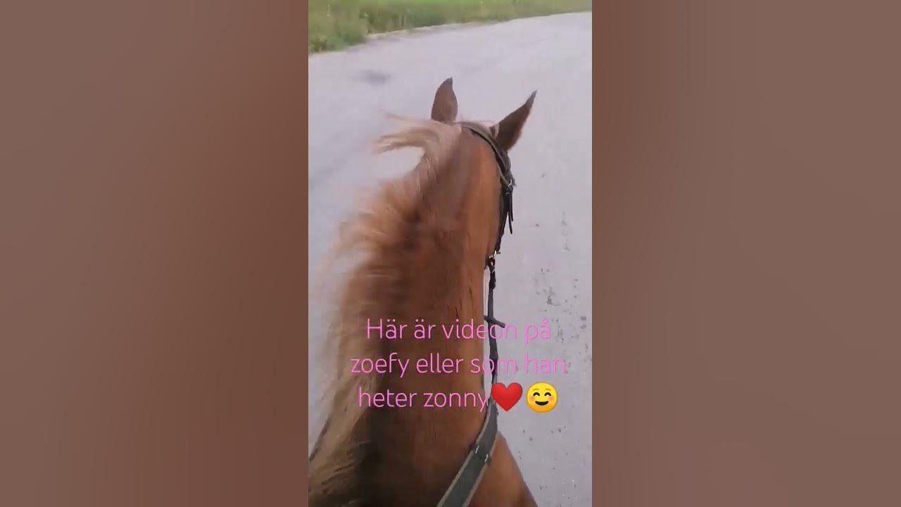 zonny - YouTube
