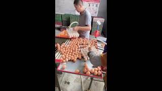 🔮🔴LIVE～Egg Sorting 🥚 2026-06-17