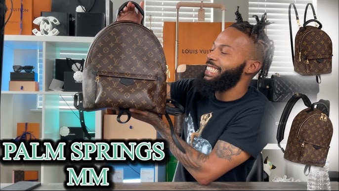 Louis Vuitton Palm Springs Backpack MM, PM and Mini Comparison and WIMB 