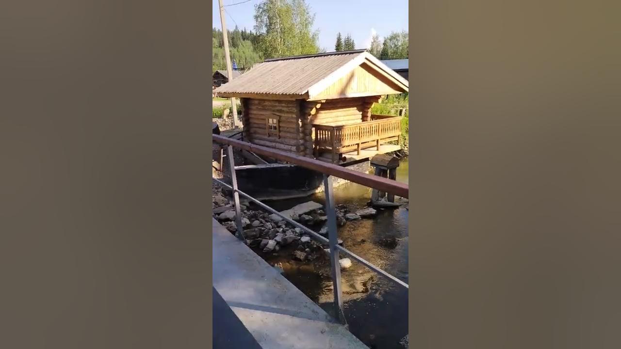 В Лесной глуши в глуши Лесной