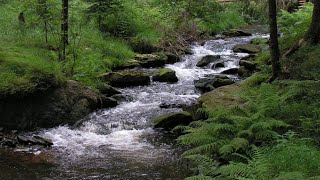 Calming Sound of Turquoise Mountain River. Nature Sounds, Flowing Water, White Noise for Sleeping