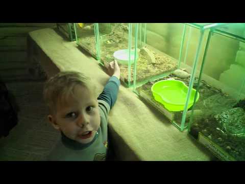 #Контактный #Зоопарк ч2