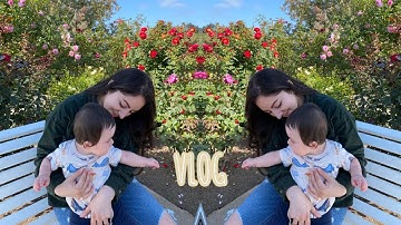 VLOG: running errands + Trader Joes haul