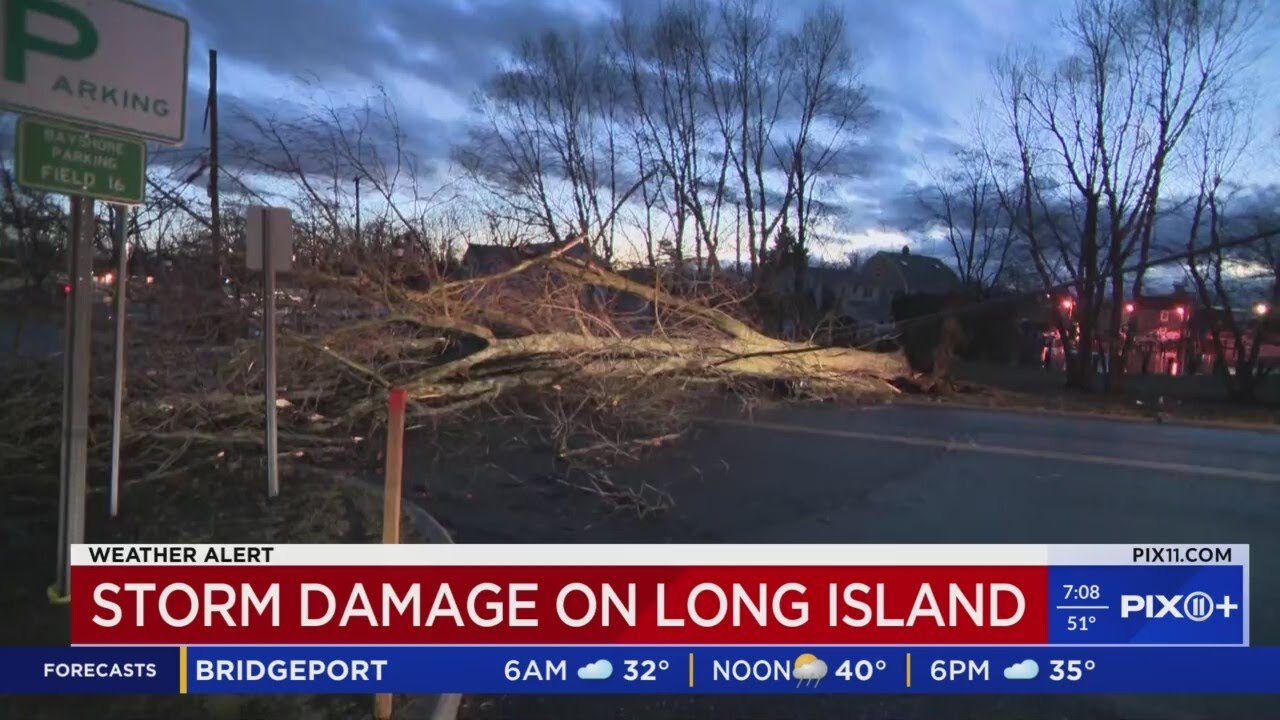Tree knocked over in Bay Shore, bringing down power lines - YouTube