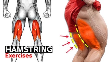8 Easy Exercises Hamstring Workout | Leg Day