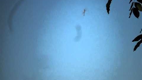 KEEP 450 PRO with Tarot ZYX 3G Gyro