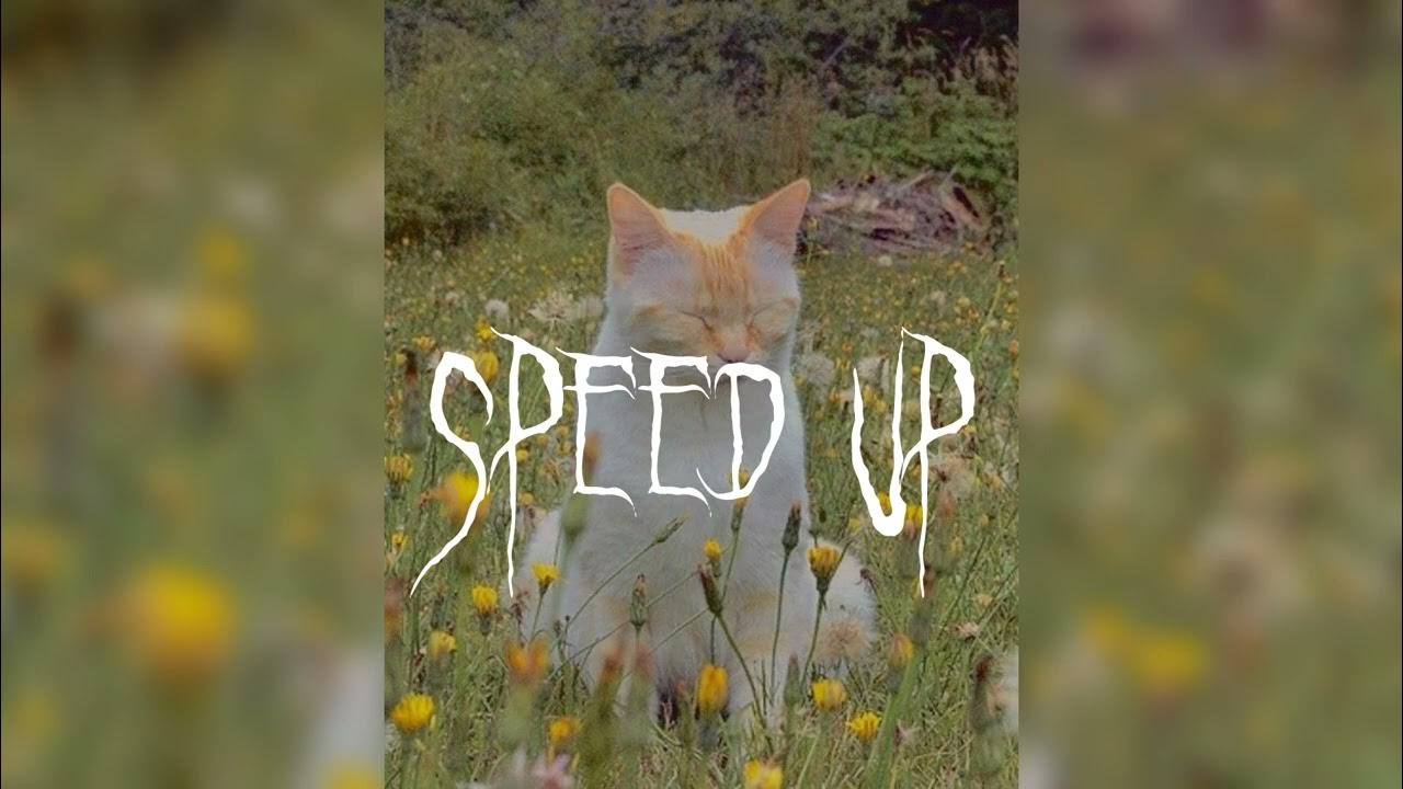 Пленка ярче солнца speed up