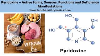 Pyridoxine Biochemistry || Vitamin B6 Biochemistry || Pyridoxal Phosphate (PLP)