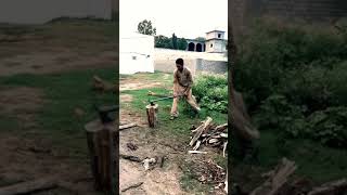 Village Hardwork Routine | Wood Cutting Trick | Village Vlogs