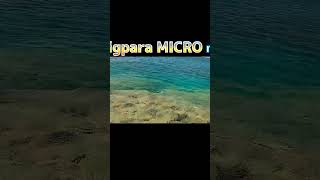 ジグパラマイクロを宮古島で投げると...#メジャークラフト #ジグパラマイクロ #ルアーフィッシング