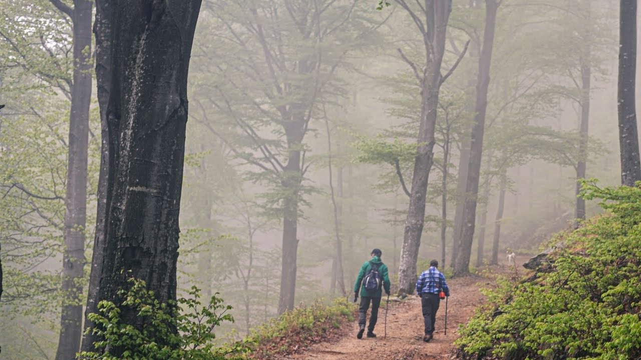 Da Pradecolo all'Alpone di Curiglia