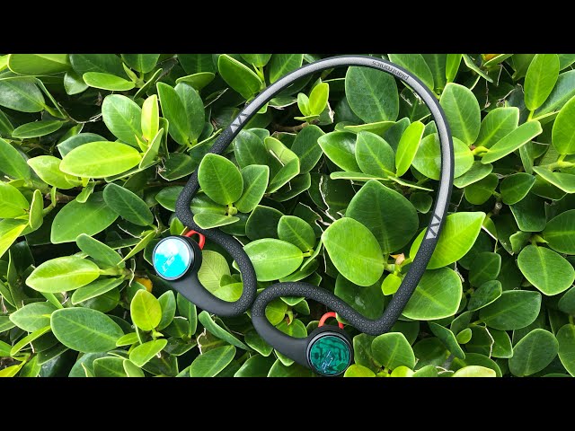 Plantronics BackBeat Fit 2100 Wireless Earbuds: First Impressions, Setup, Unboxing