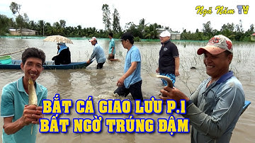Không Ngờ Bắt Cá Ruộng Nhà Lại Như Cá Nuôi Thấy Mê/Catch The Fish/NGÃ NĂM TV
