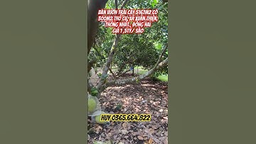 Bán vườn trái cây 5167m2 có 300m thổ cư 2 mặt tiền đường #batdongsan