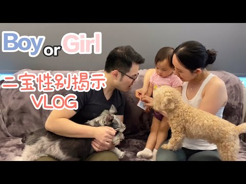 【VLOG#3 知道小宝儿的性别啦! 】16周孕检|得知要有弟弟/妹妹之后大宝的反应