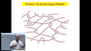 Kardiyolojiden Edebiyata Fraktallar Prof. Dr. Önder Pekcan