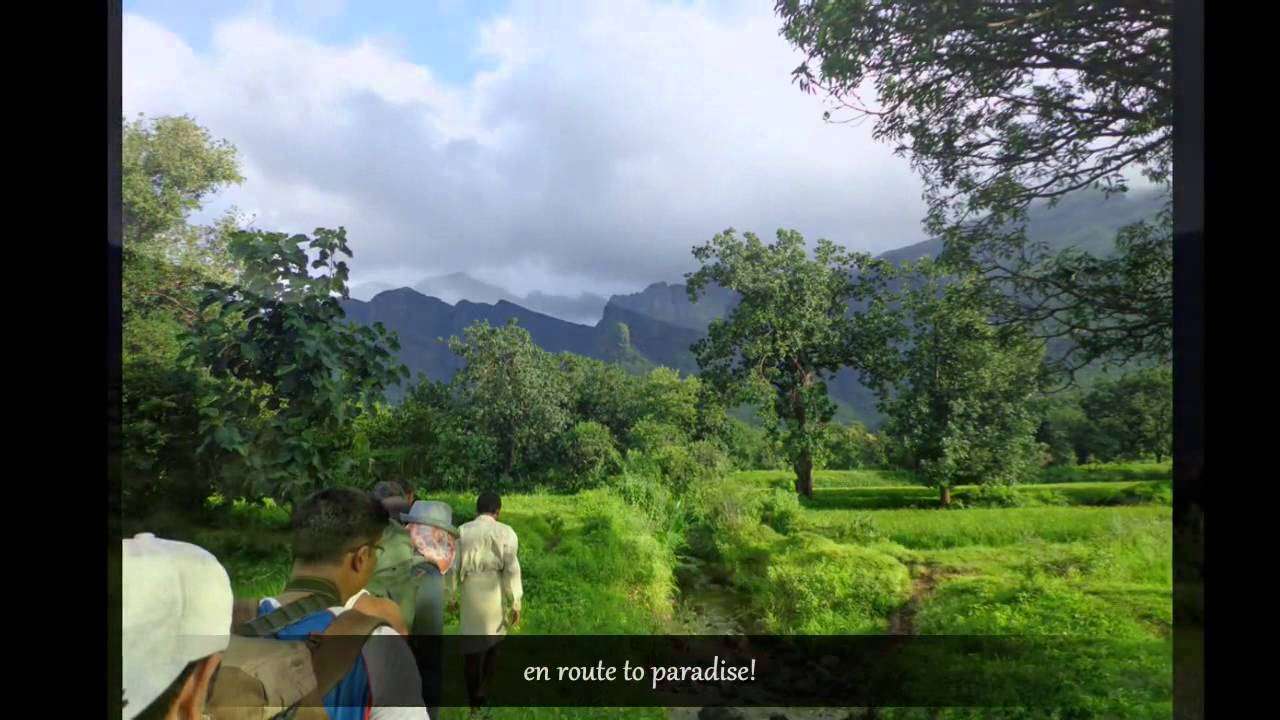 YHAI Mumbai Unit 2012 13